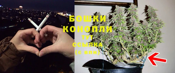 PSILOCYBIN Алексеевка