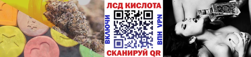 где купить наркотик  Оса  ЛСД экстази кислота 