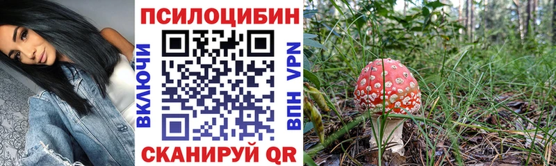 где купить наркоту  MEGA ссылки  Галлюциногенные грибы мухоморы  Оса 